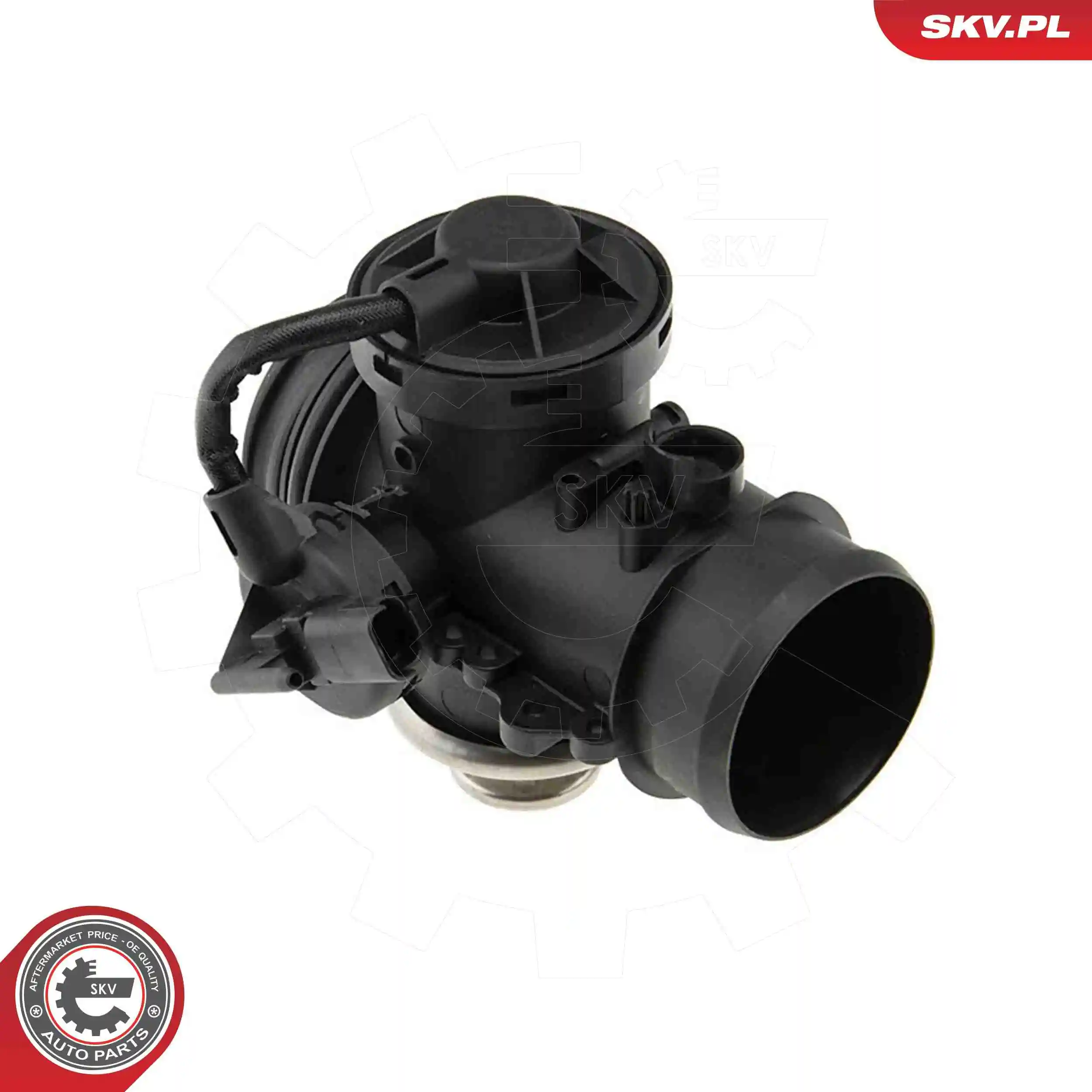 EGR Valve